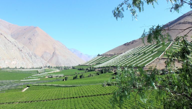 Valle del Elqui – Sternstunden im Norden von Chile