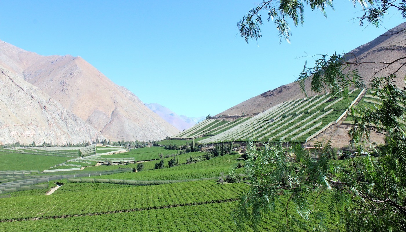 Valle del Elqui – Sternstunden im Norden von Chile