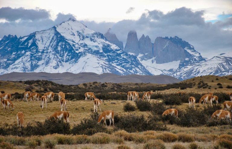 Torres del Paine Nationalpark – Der ultimative Guide 2025/26