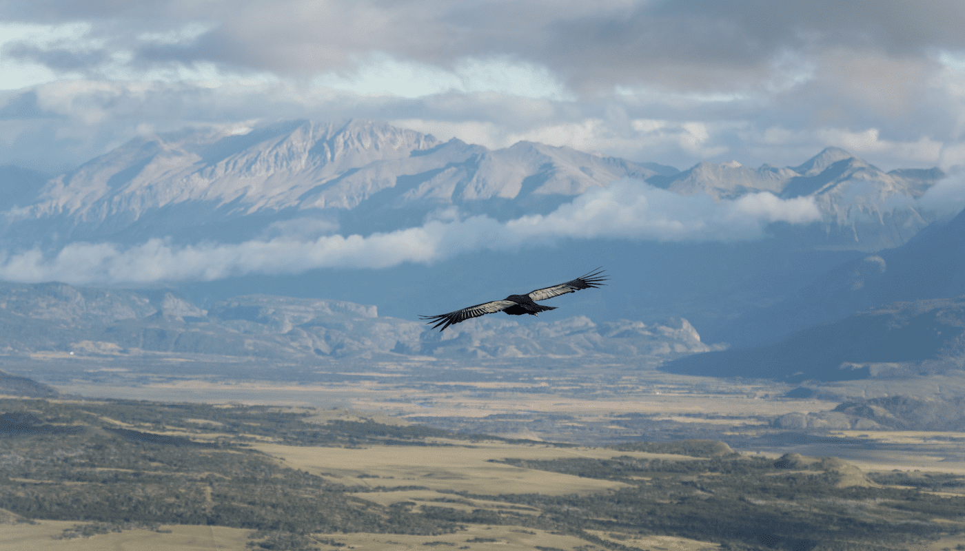 Die Region Aysén in Chile – Entdecke das unbekannte Patagonien