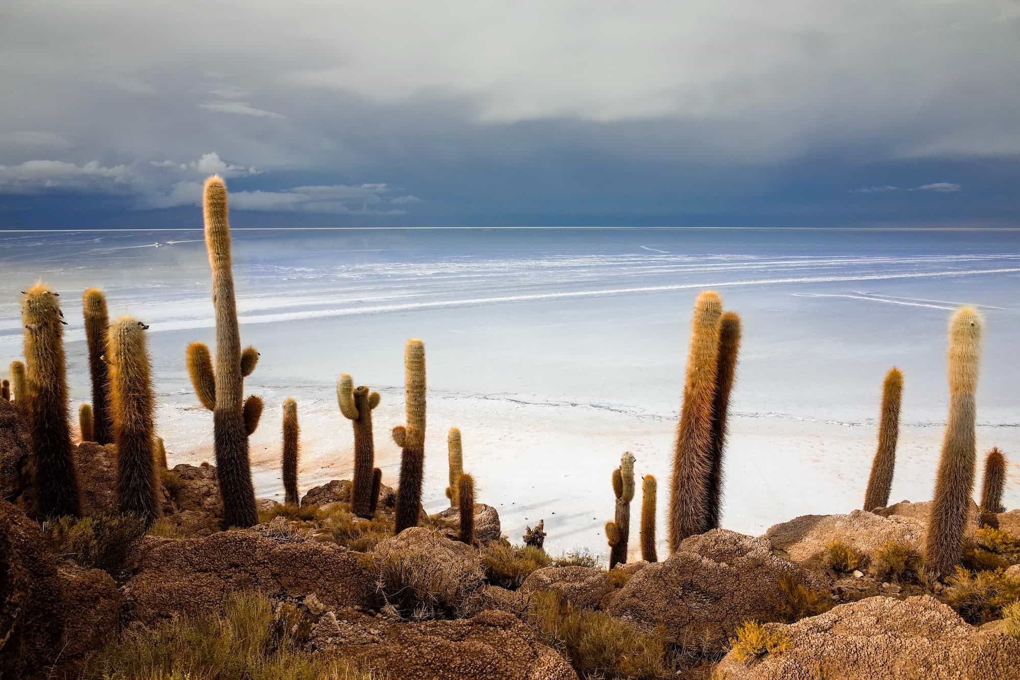 Salar de Uyuni | Der Guide für die Salzwüste in Bolivien 6
