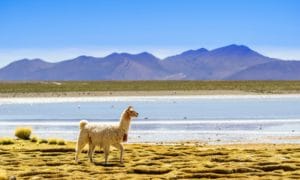 Southtraveler Podcast #15 – Bolivien und Peru mit Jennifer McCann