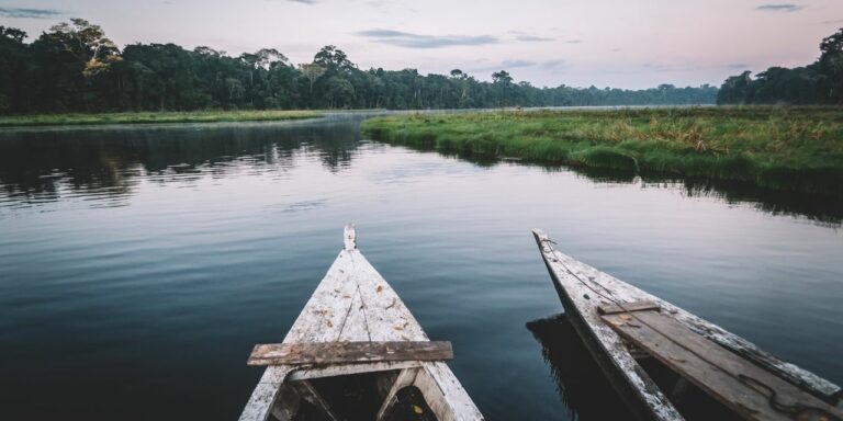 Tambopata Reservat in Peru – Wildlife pur!