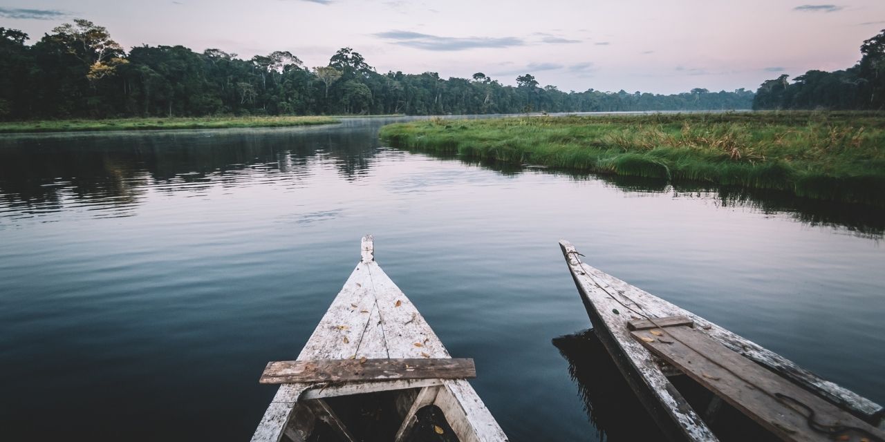 Tambopata Reservat in Peru – Wildlife pur!