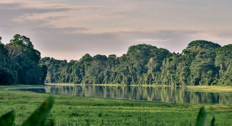 Manu Nationalpark Peru – die besten Tipps für einen Besuch