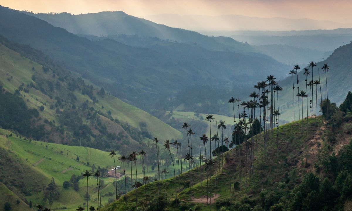 Valle de Cocora – Die besten Tipps für die Wanderung