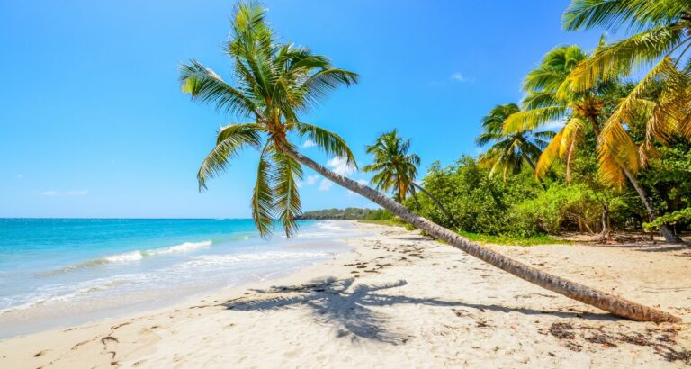 Martinique – Top 13 Sehenswürdigkeiten plus Reisetipps