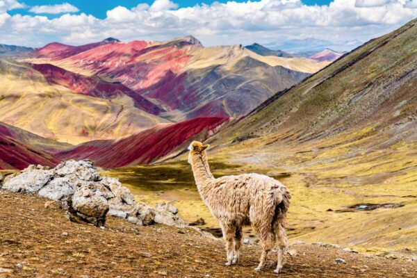 Rainbow mountain 1450 x 920 px