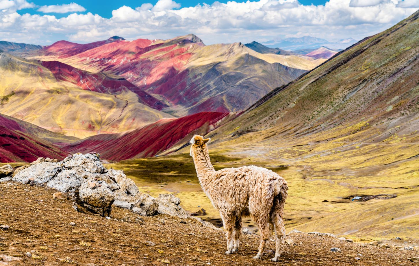 Rainbow Mountain Peru: Der ultimative Guide